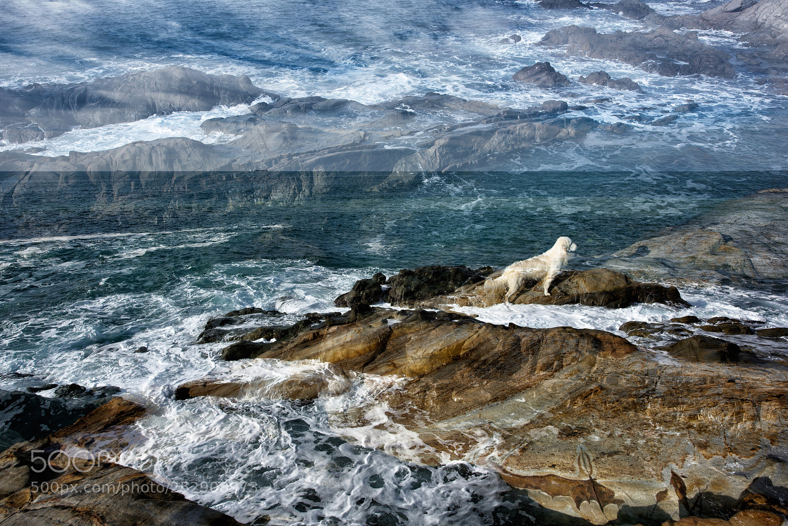 Nikon D810 sample photo. In sky and earth photography