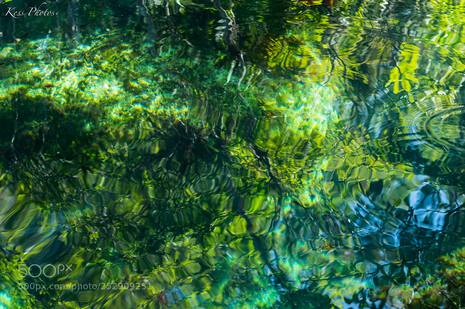 Nikon D3200 sample photo. Reflections on the water photography