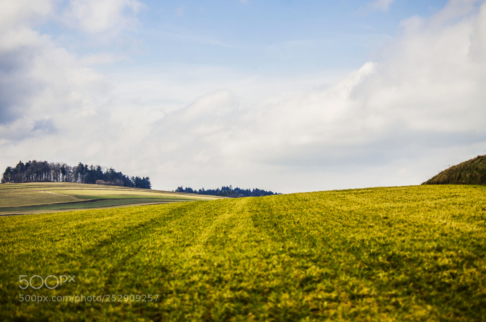 Pentax K-5 sample photo. Sweet meadows photography