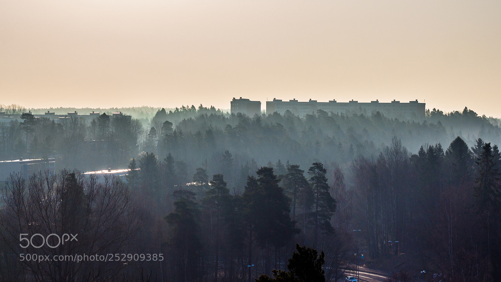 Canon EOS 700D (EOS Rebel T5i / EOS Kiss X7i) sample photo. Morning fog photography