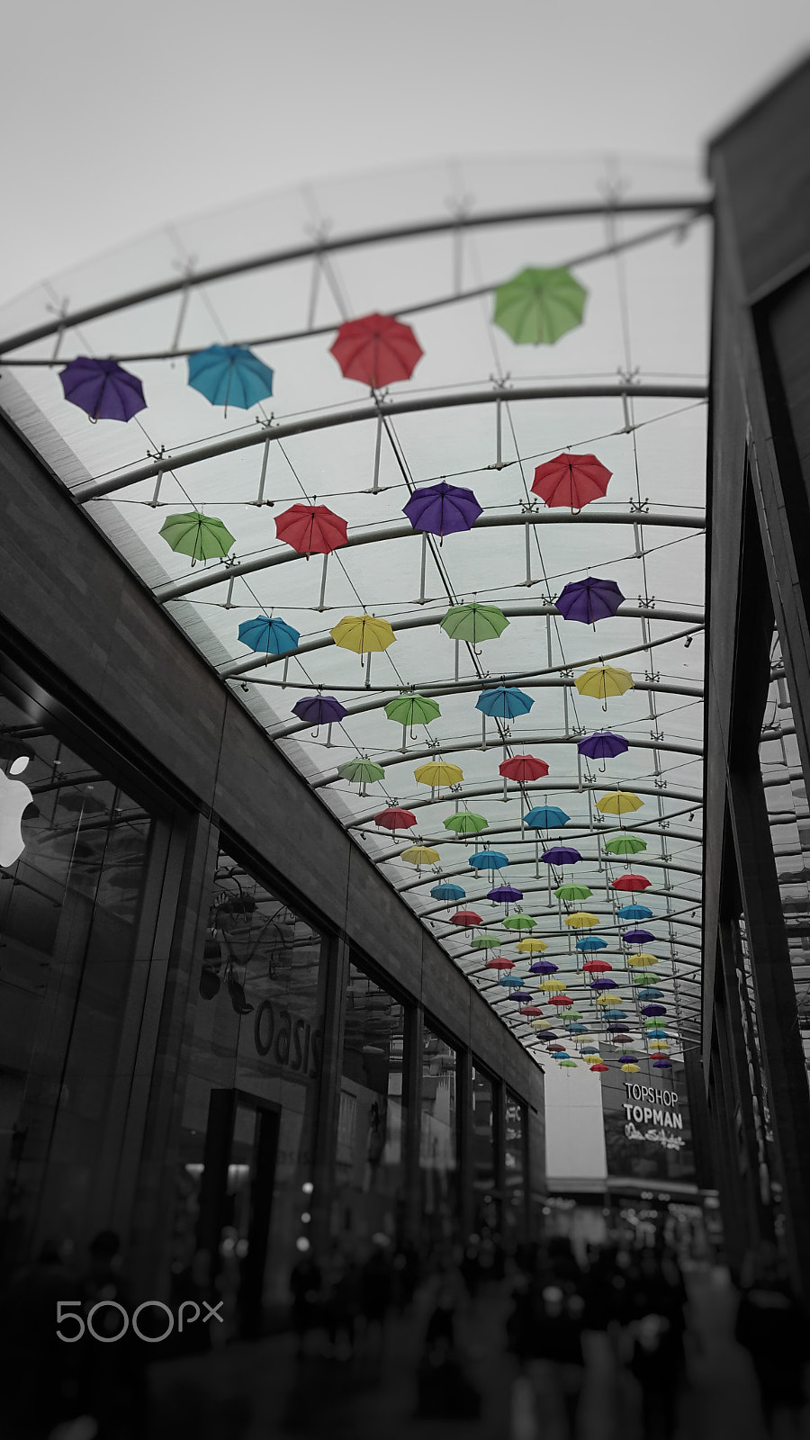 Sony Xperia XZ1 Compact sample photo. Keep the rain away photography