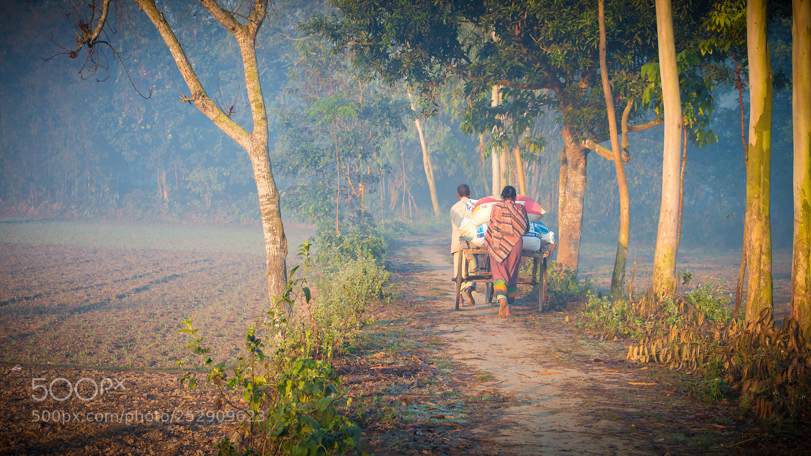Canon EOS 70D sample photo. The life of farmers photography