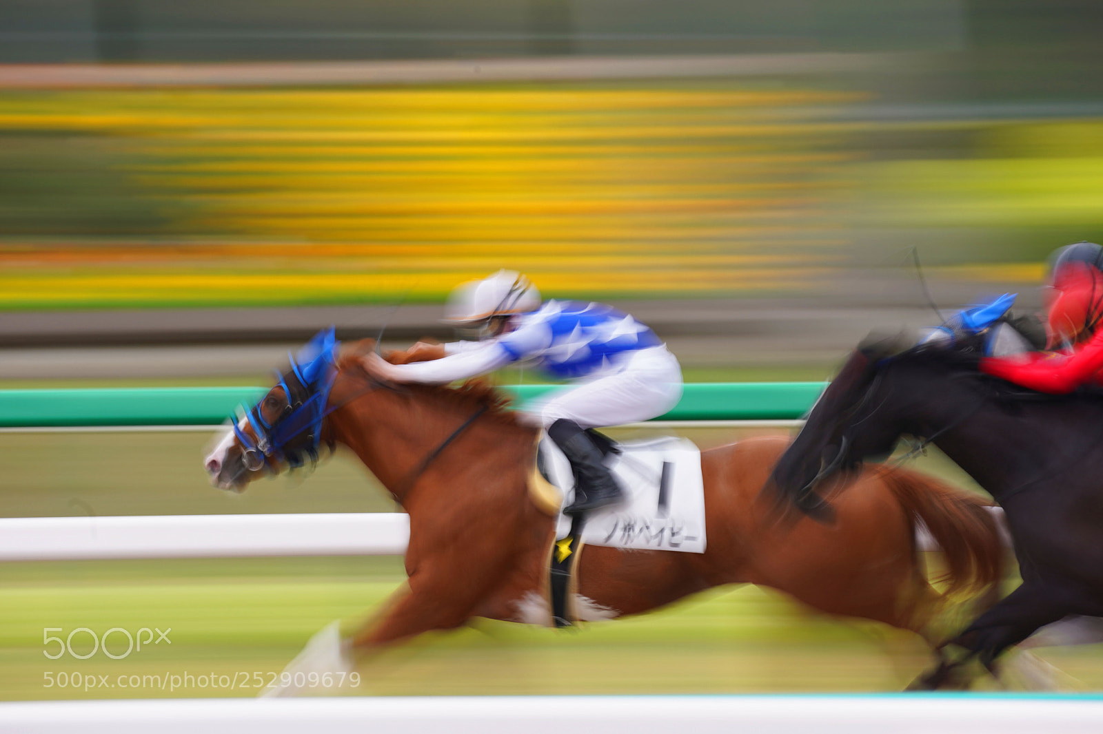 Sony a9 sample photo. Horse race photography