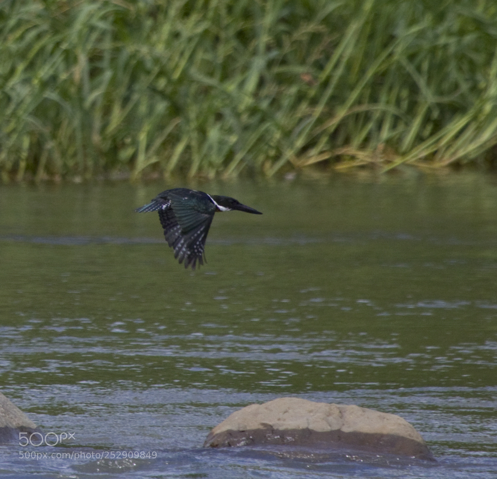 Canon EOS 50D sample photo. Searching the river photography