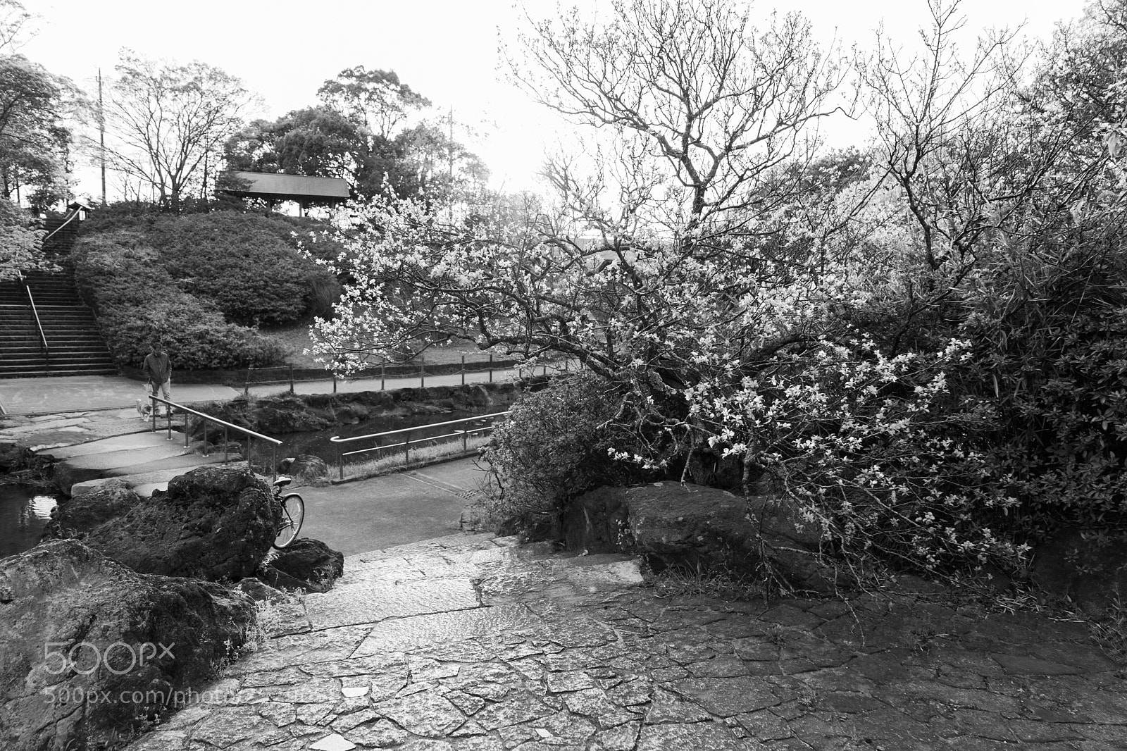 Sony a7 III sample photo. Izumiya park photography