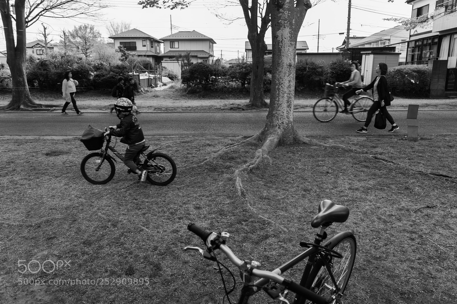Sony a7 III sample photo. Kamatori photography