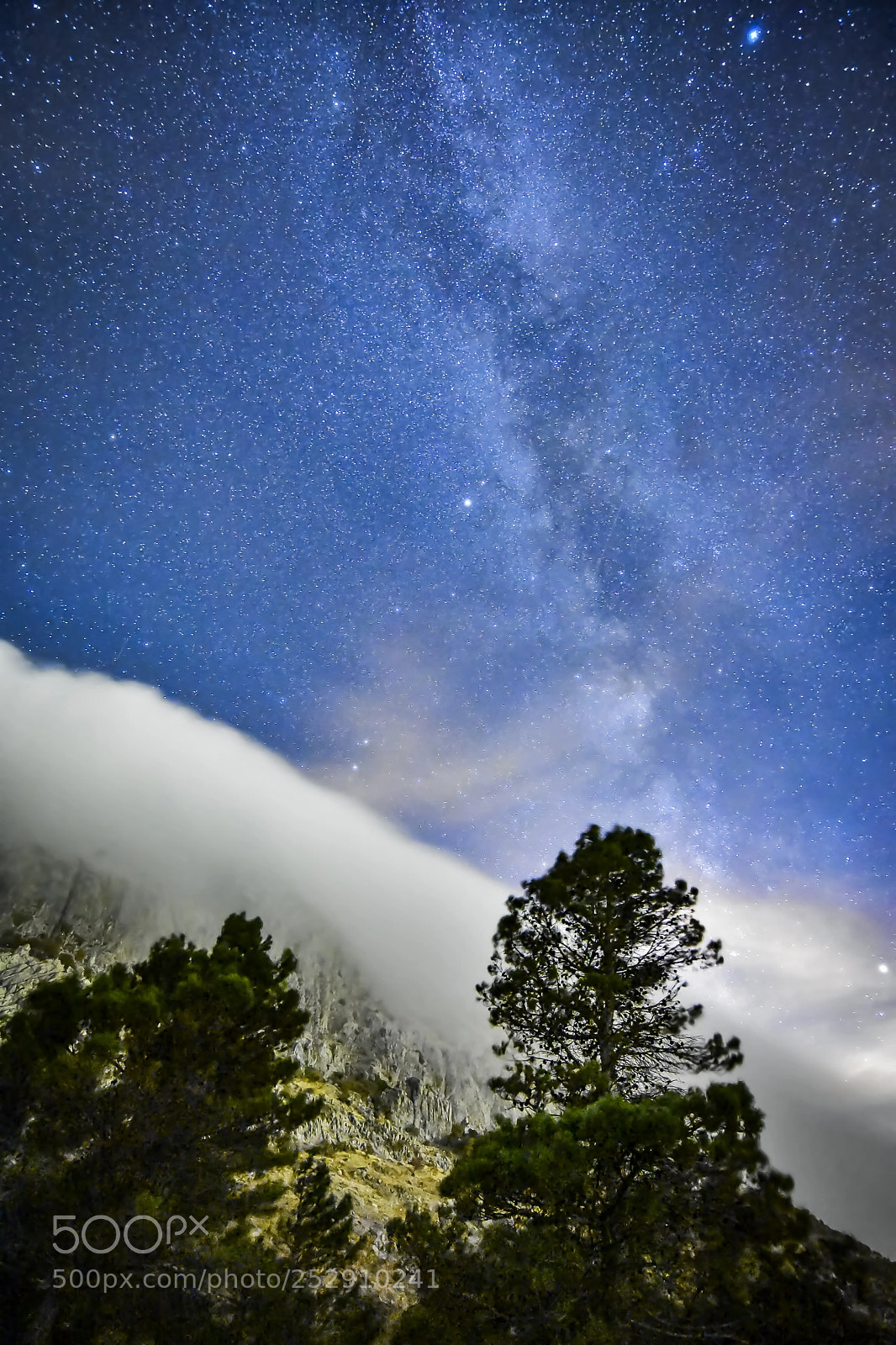 Nikon D7200 sample photo. Sky & stars photography