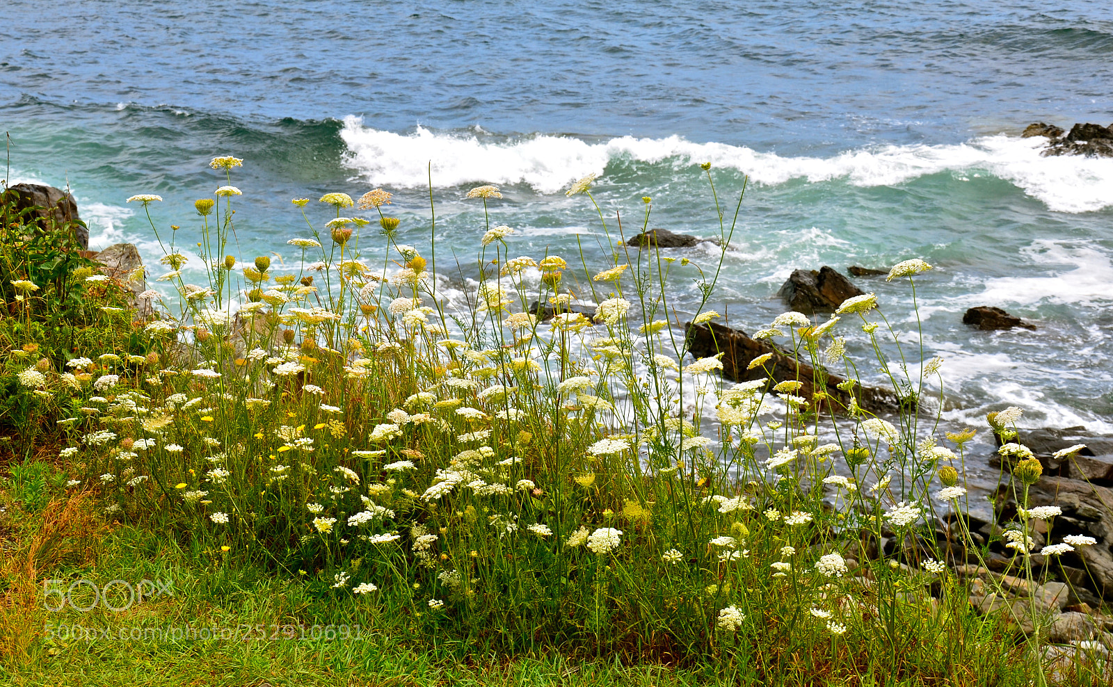 Nikon D7000 sample photo. By the sea photography