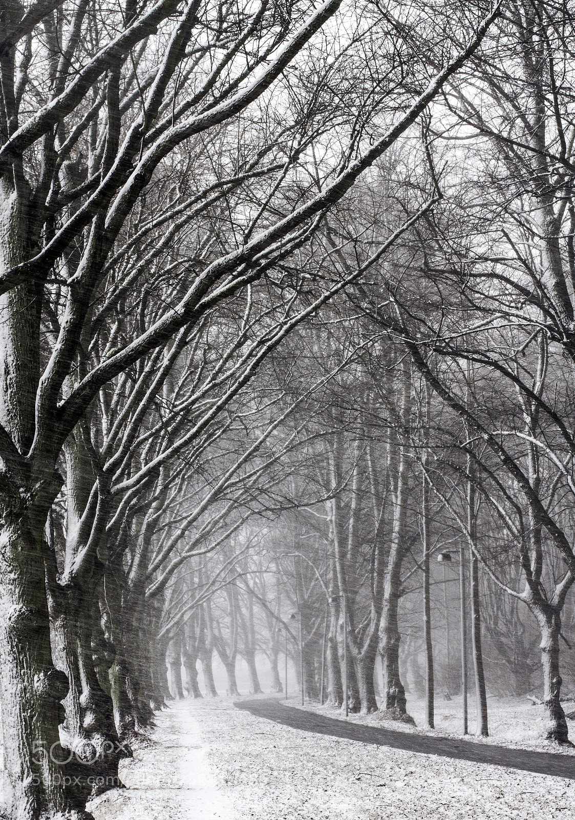 Canon EOS 7D sample photo. Img photography