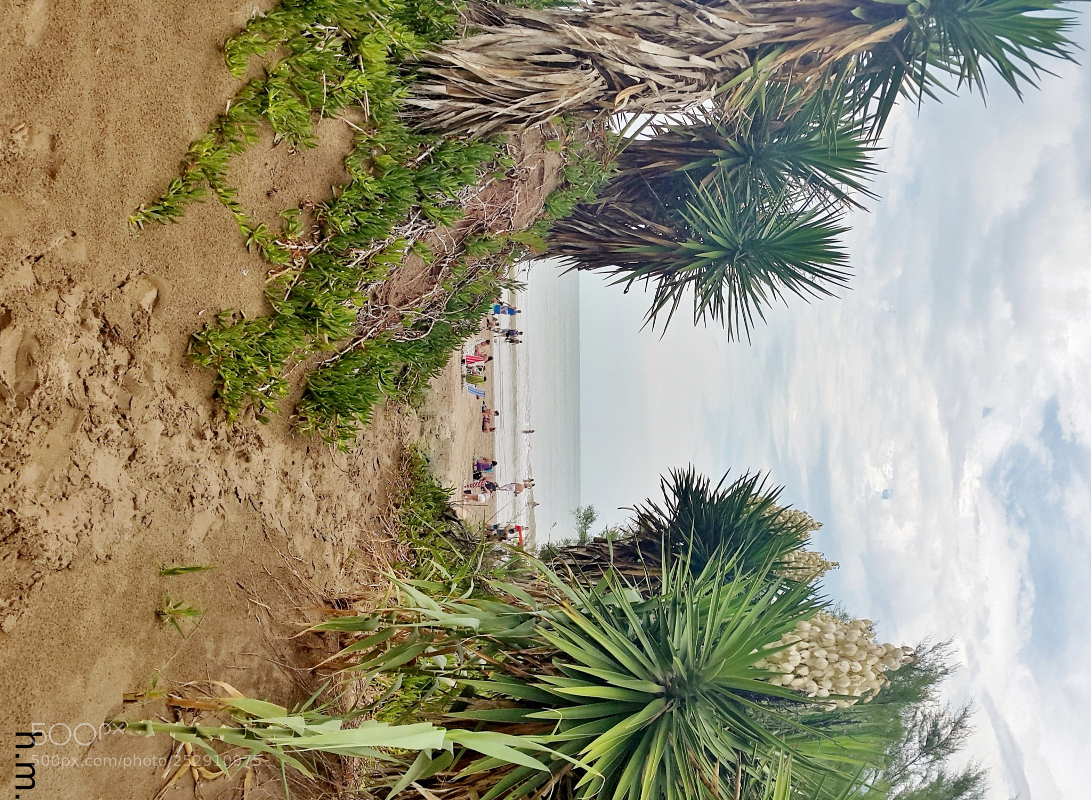 Samsung Galaxy S5 sample photo. Ddc o photography