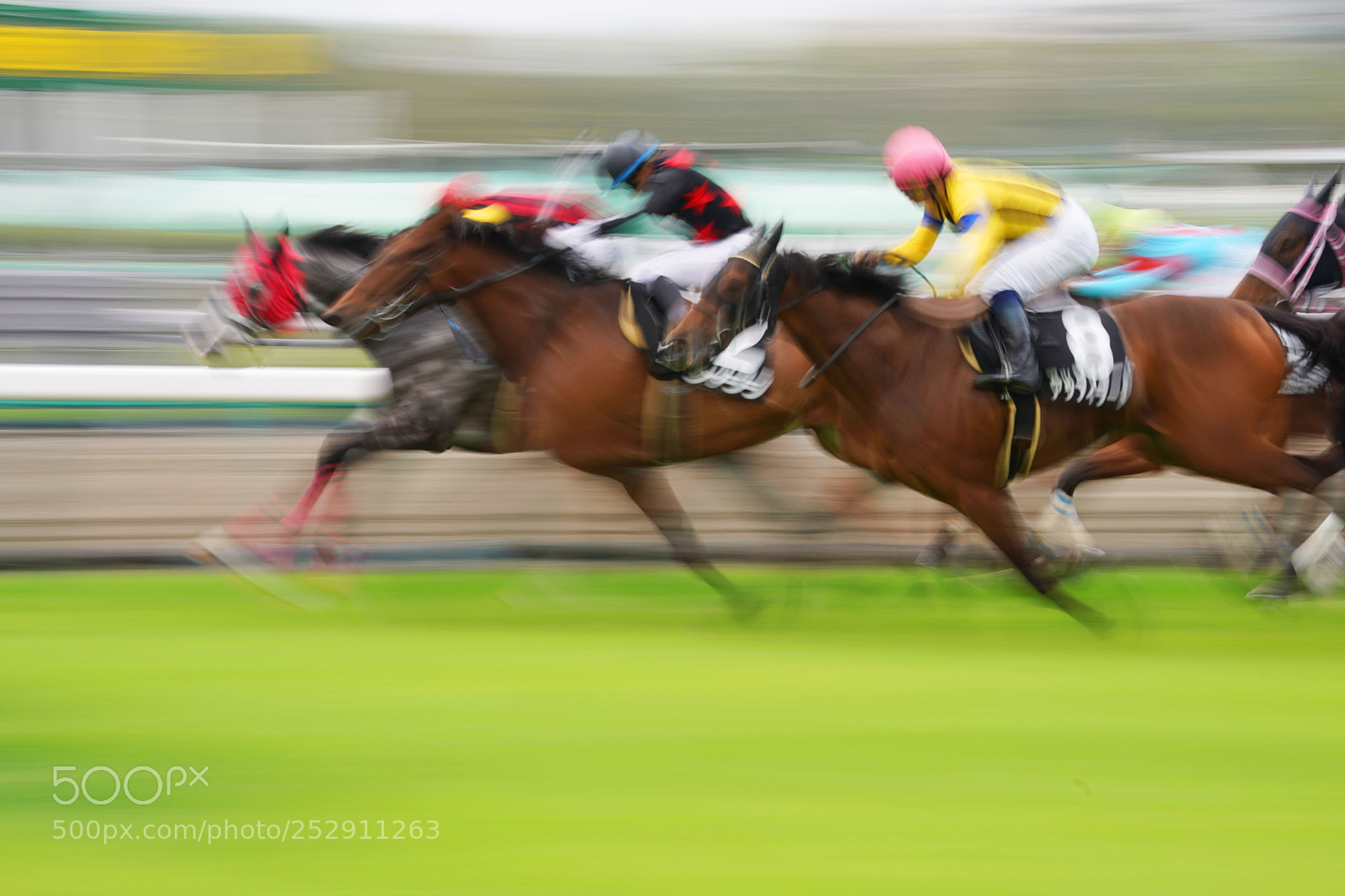 Sony a9 sample photo. Horse race photography