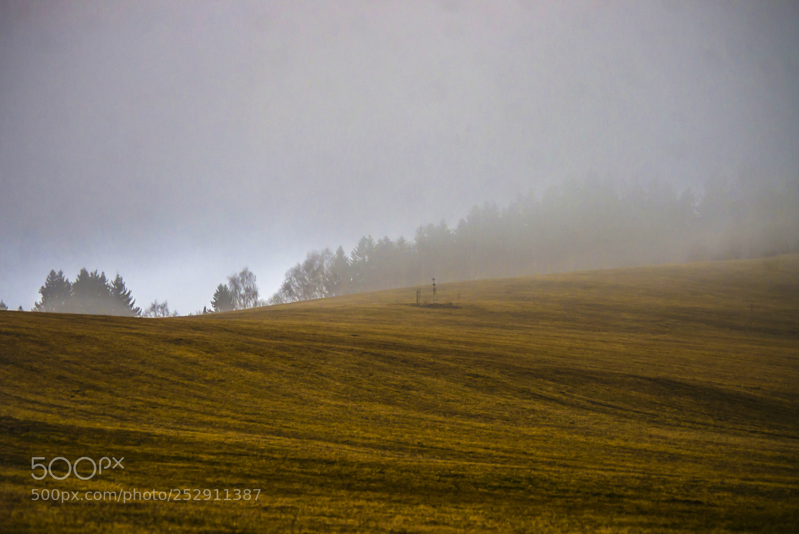 Pentax K-5 sample photo. Mystic fog photography
