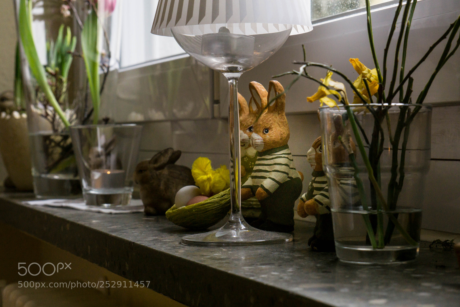 Sony a6000 sample photo. Dsc photography