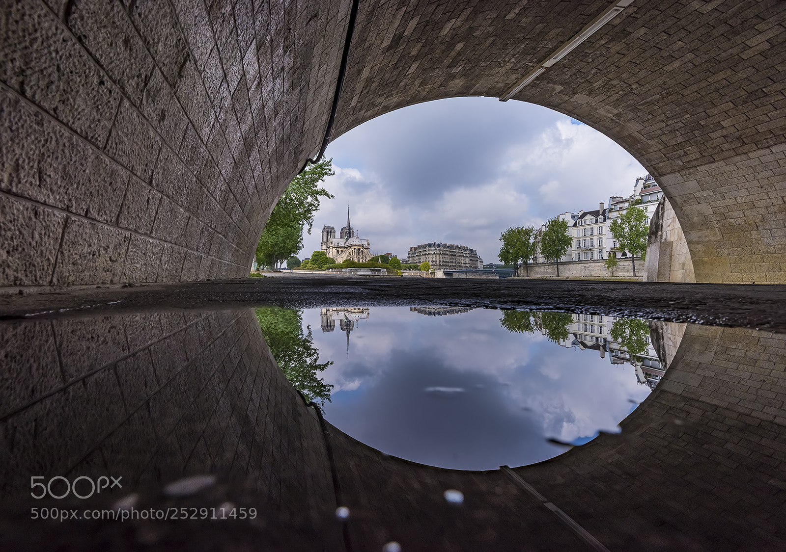 Nikon D810 sample photo. Notre-dame cathedrale de paris photography