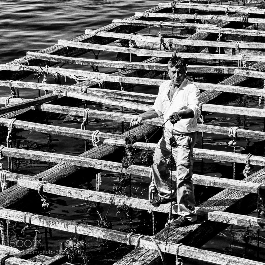 Canon EOS 350D (EOS Digital Rebel XT / EOS Kiss Digital N) sample photo. Fisherman photography