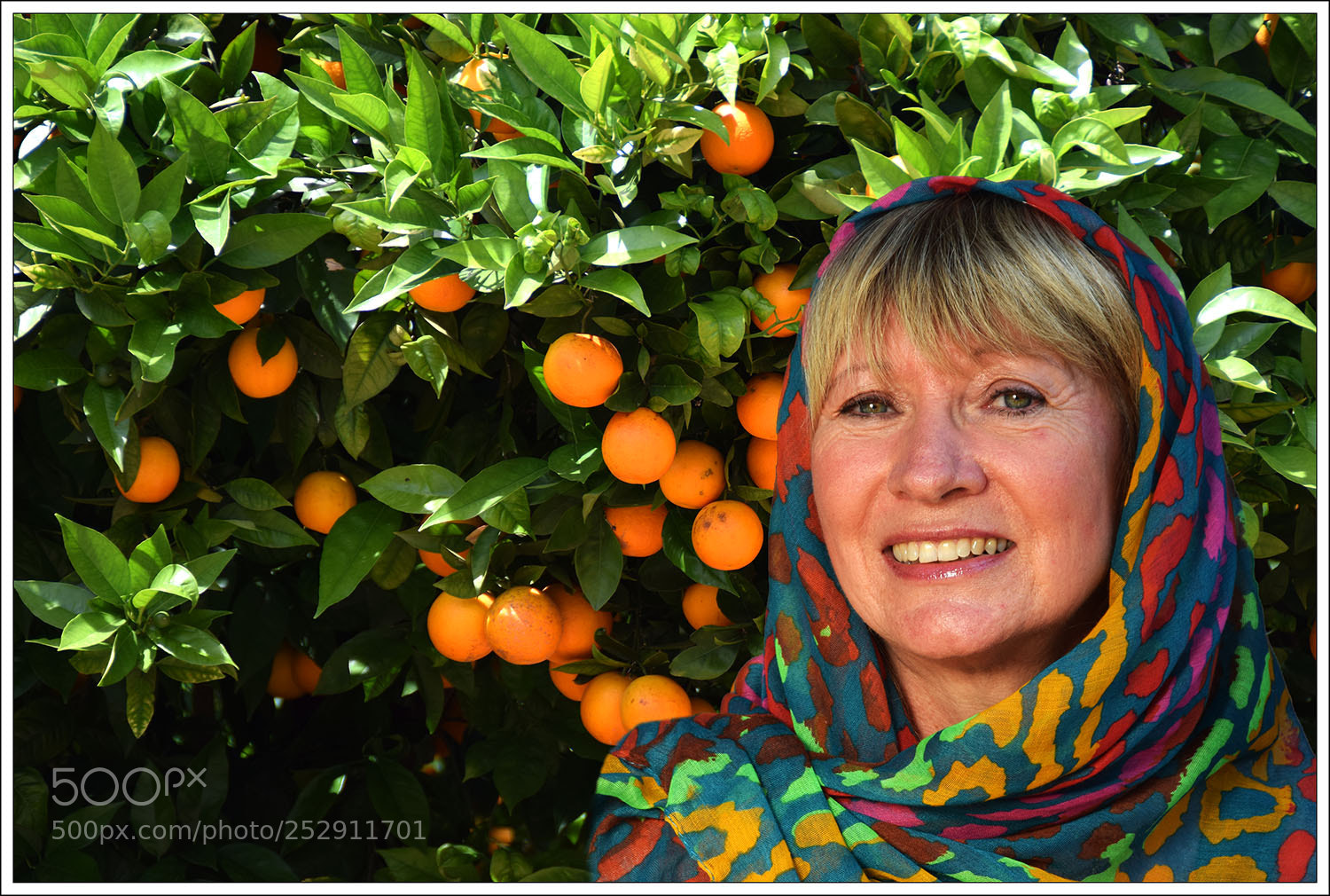 Nikon D5300 sample photo. Orange's photography