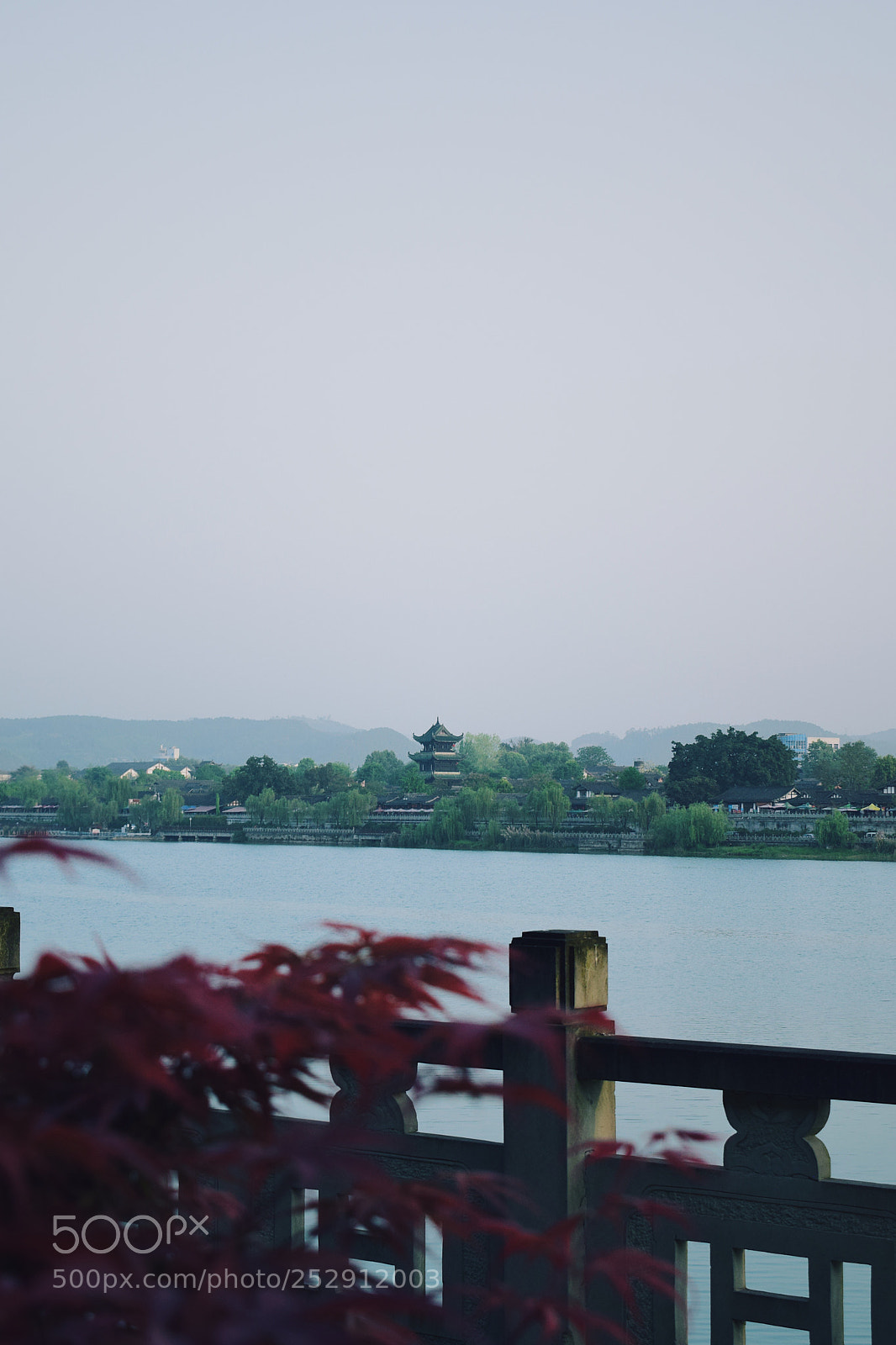 Nikon D5300 sample photo. 阆苑仙葩 photography