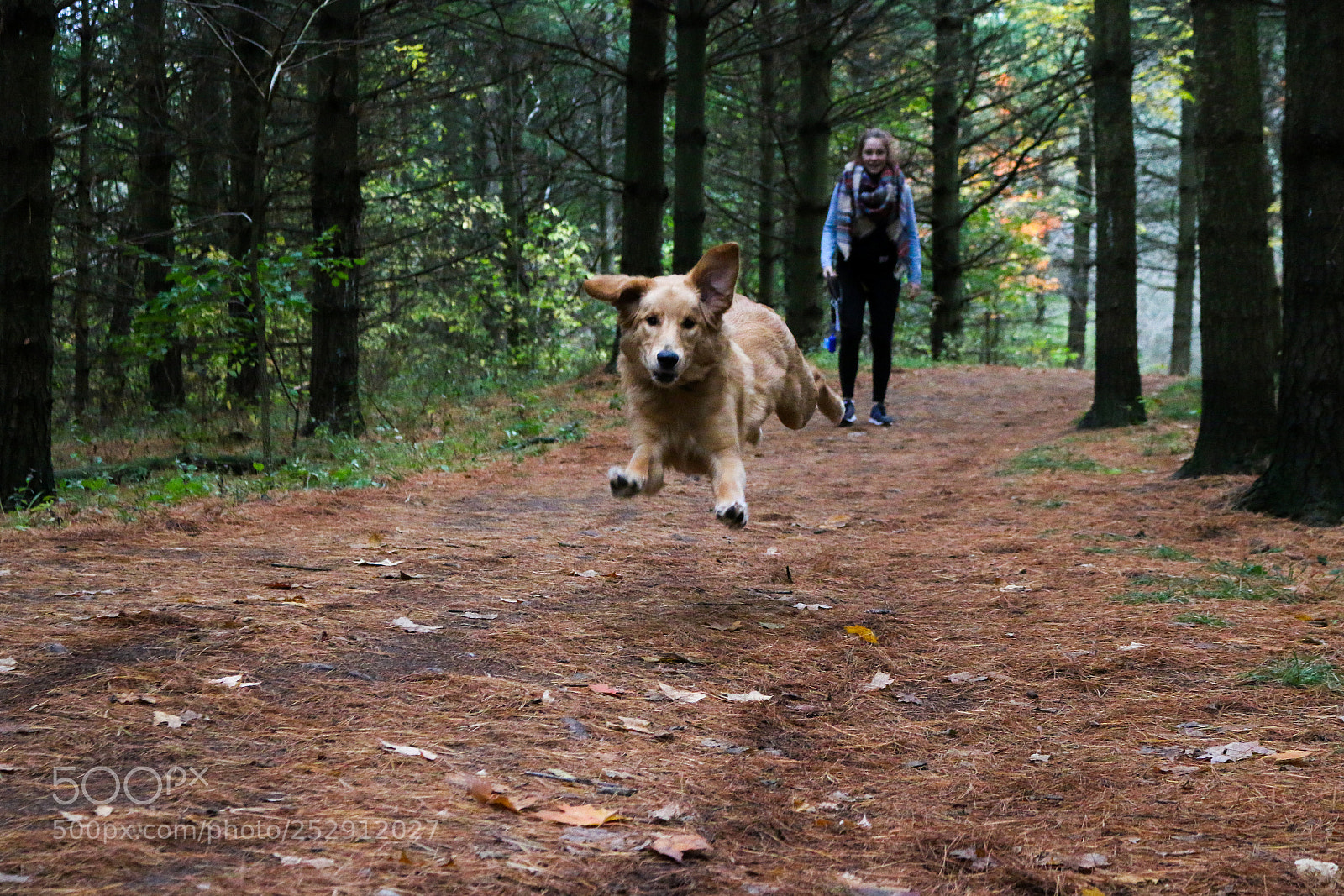 Canon EOS 70D sample photo. Freedom photography