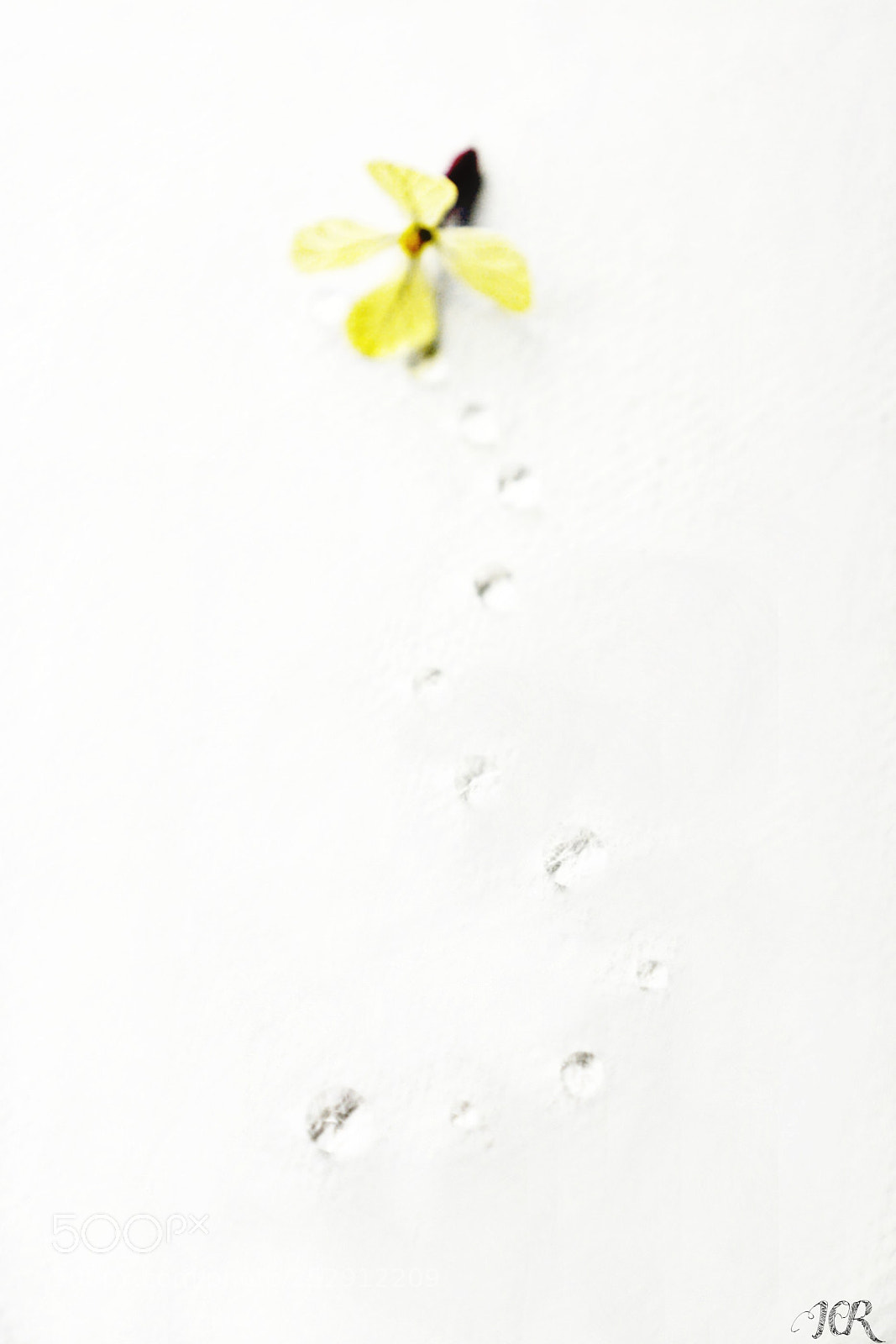 Nikon D5200 sample photo. Gotitas photography