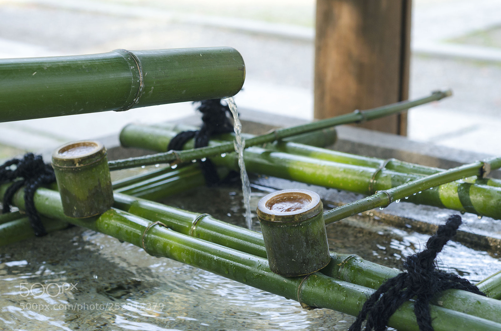 Nikon D7000 sample photo. 京都神社 photography