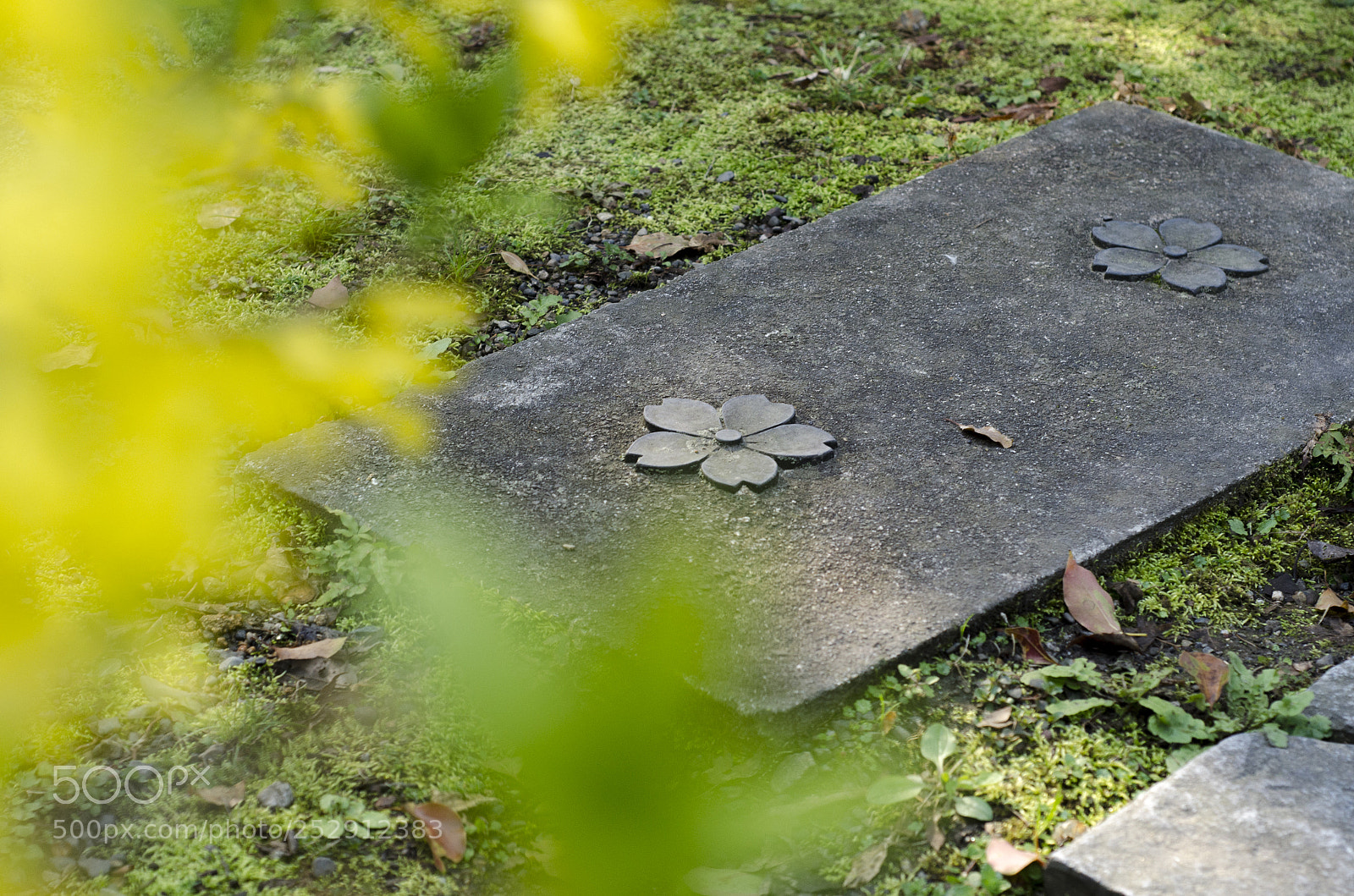 Nikon D7000 sample photo. 神社地砖 photography