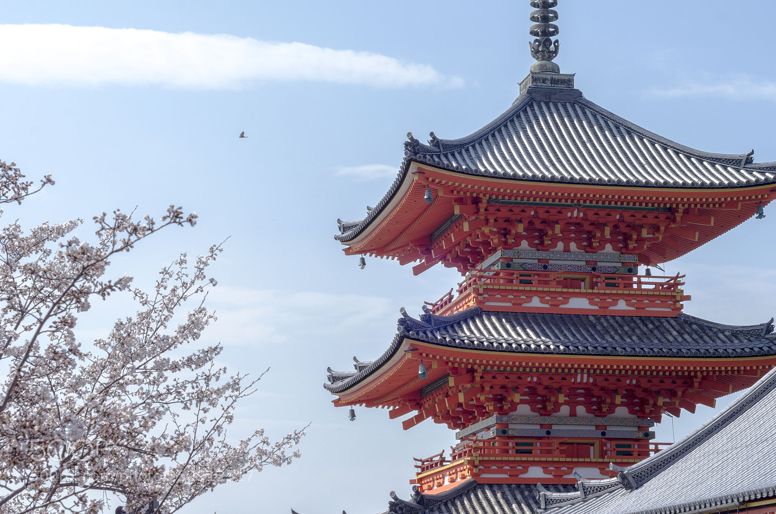 Nikon D7000 sample photo. 清水寺1 photography