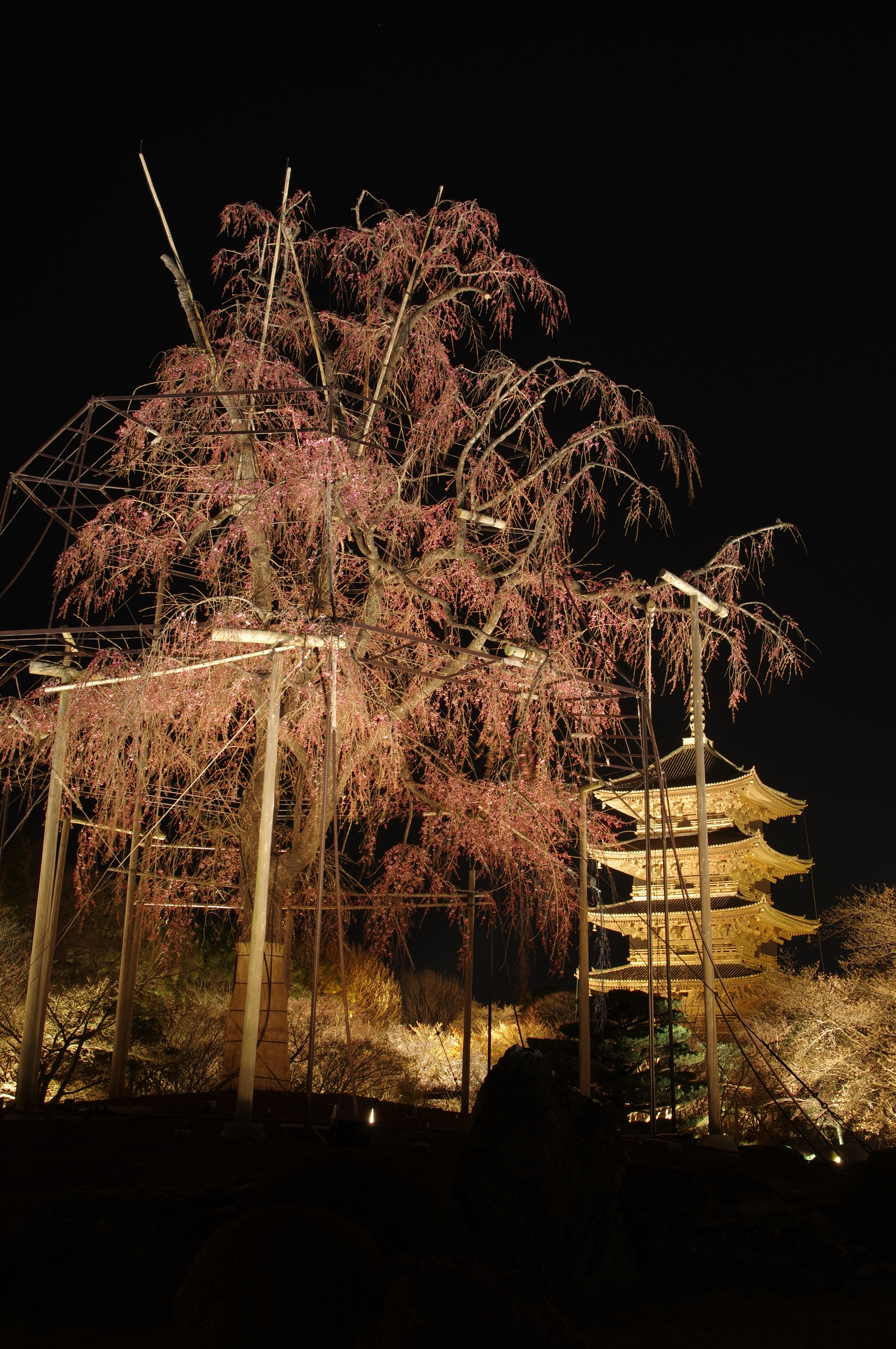 Pentax K-3 II + Sigma 17-50mm F2.8 EX DC HSM sample photo. Night, kyoto photography