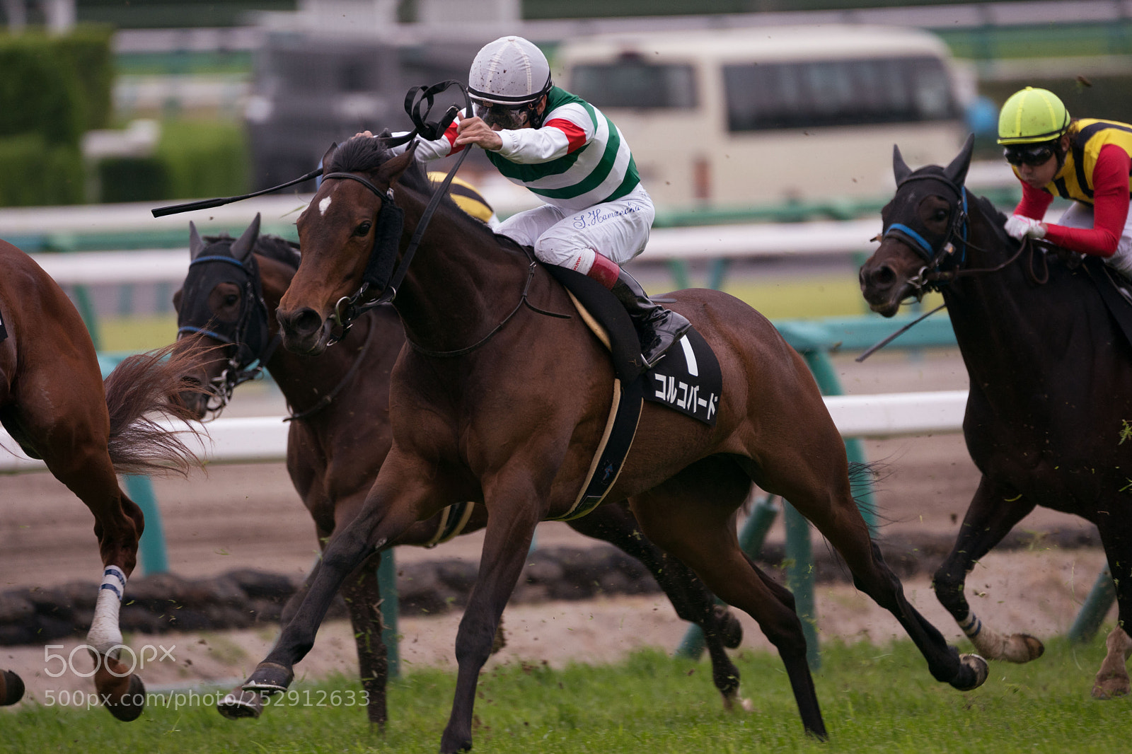 Sony a9 sample photo. Horse race photography