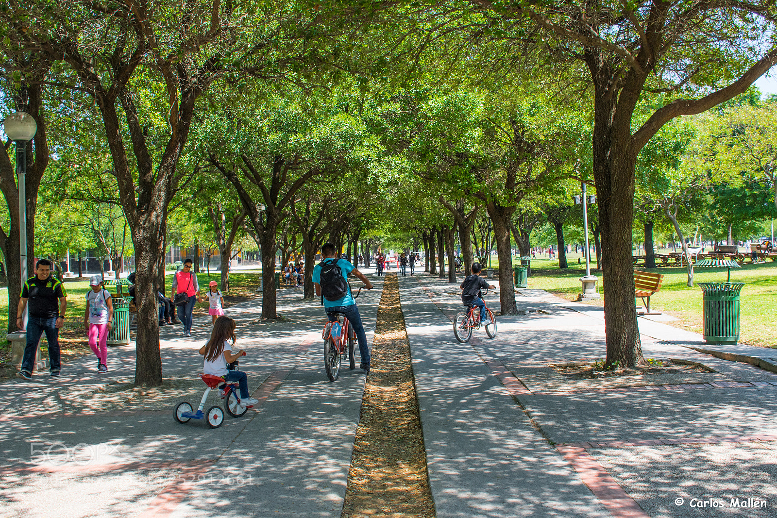 Nikon D5500 sample photo. Family bike ride photography
