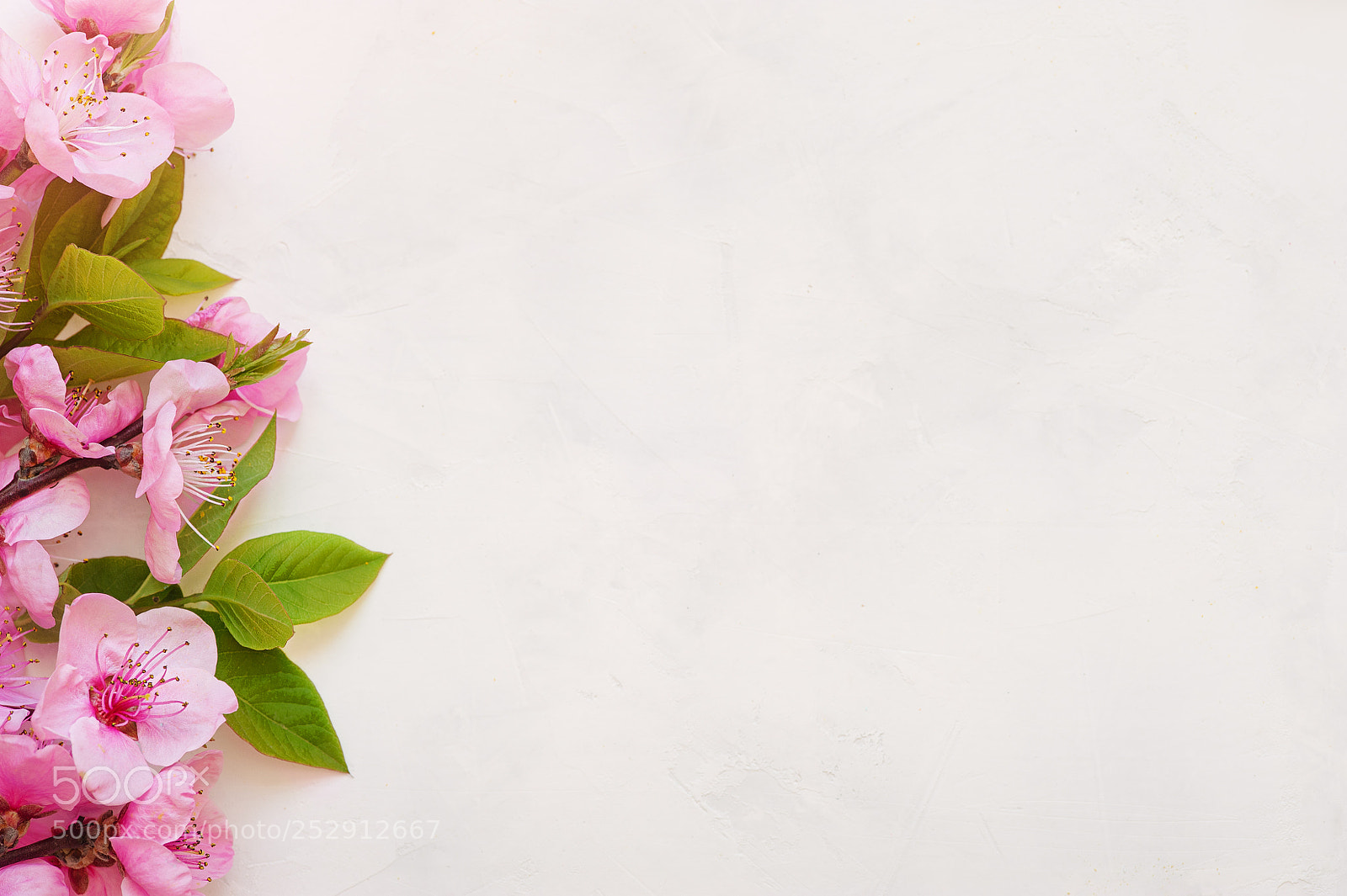 Nikon D700 sample photo. Pink spring background fresh photography