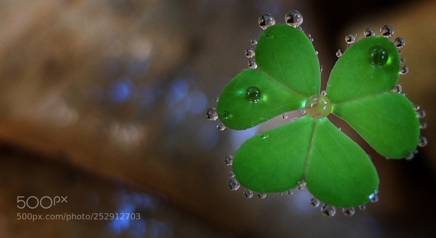 Fujifilm X20 sample photo. Rain  photography
