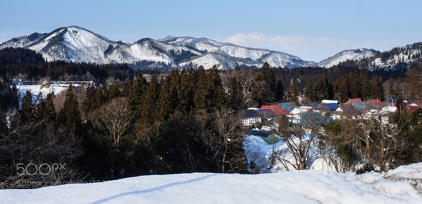 Fujifilm FinePix X100 sample photo. Behind the woods photography