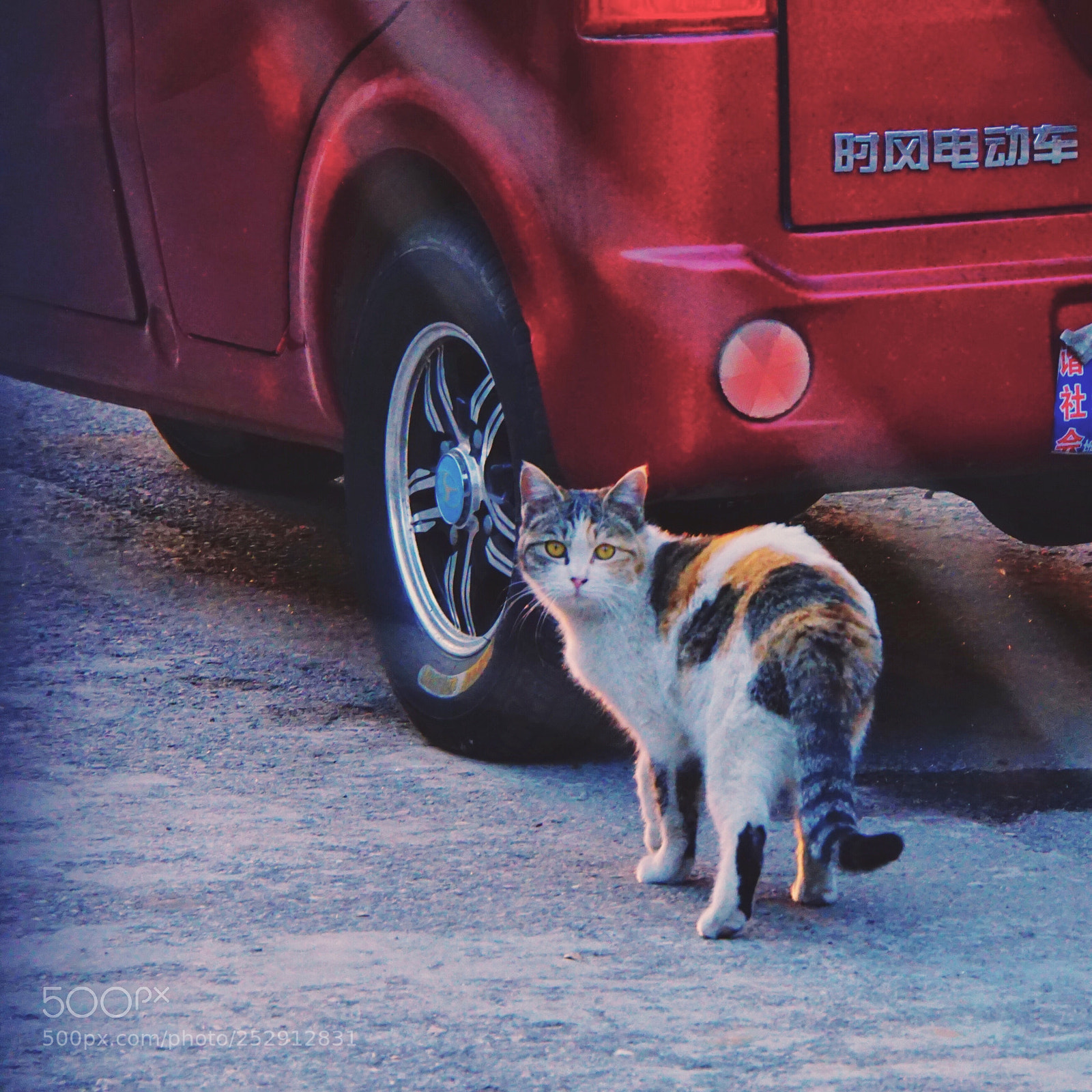 Sony a6000 sample photo. Untitled photography