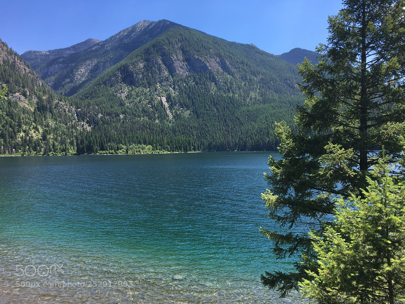 Apple iPhone 6s sample photo. Lake holland, mt photography
