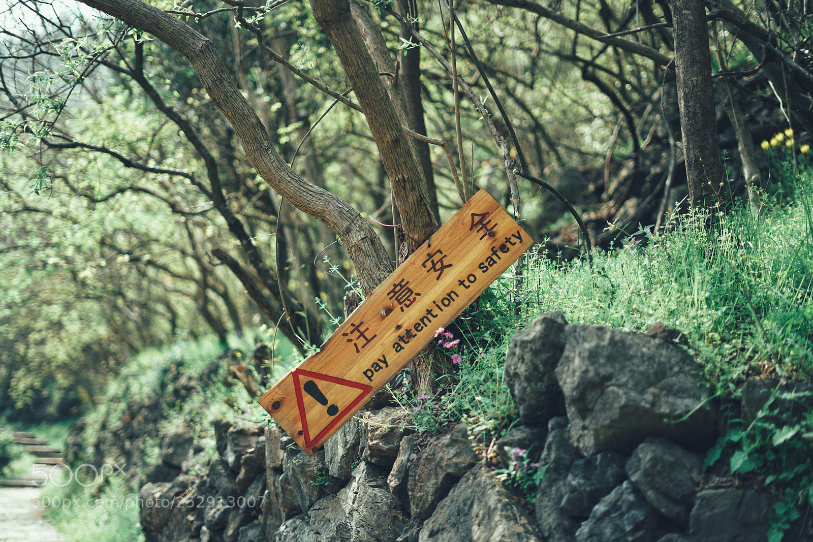 Sony a7R II sample photo. Untitled photography