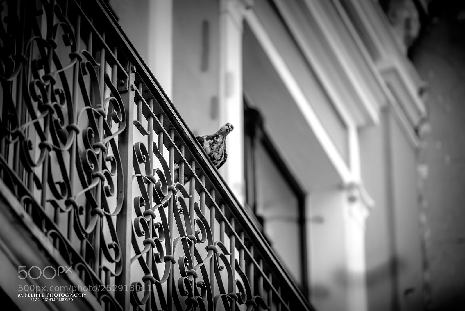 Sony a7S II sample photo. Noir #58 photography