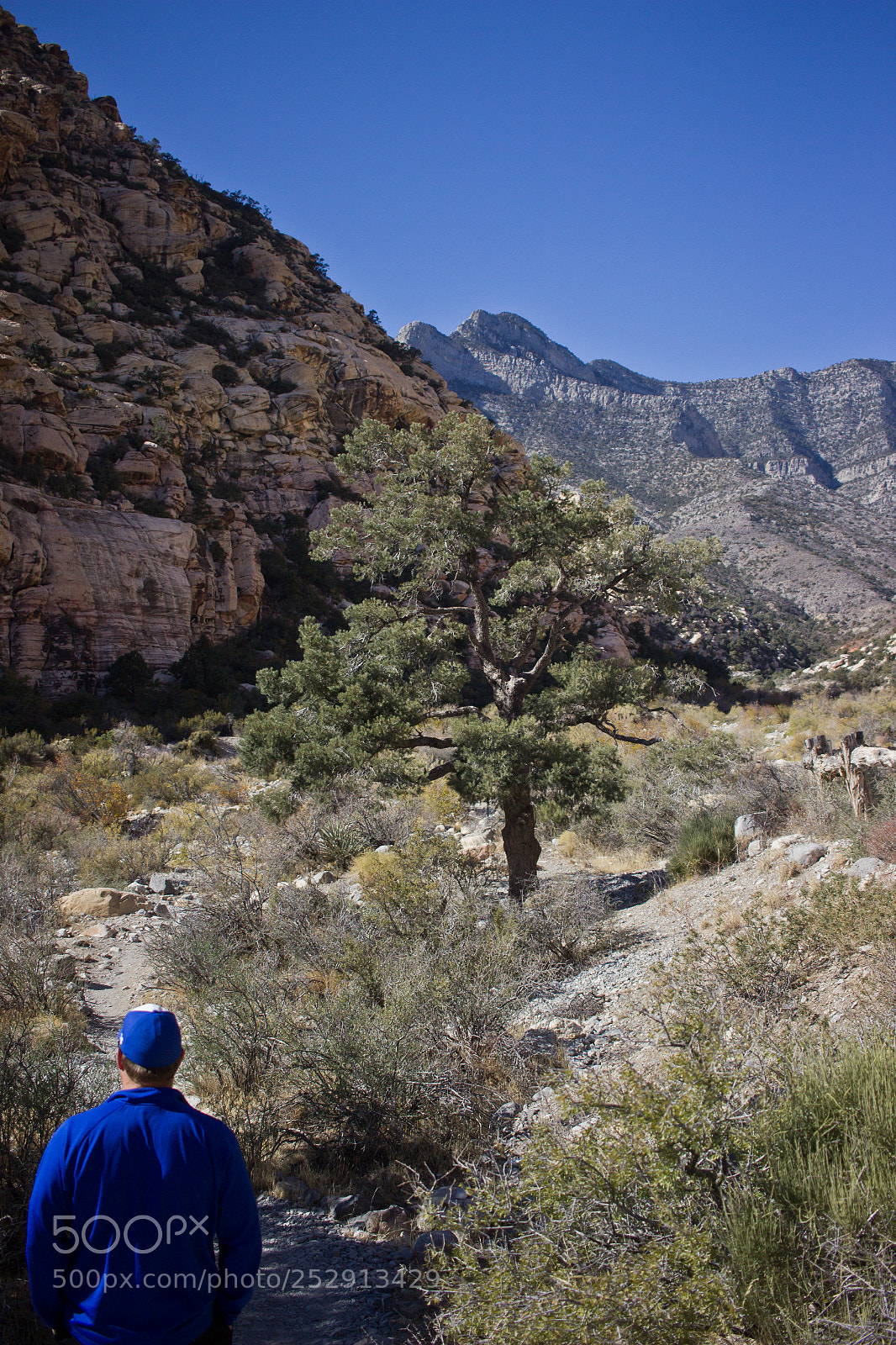 Canon EOS 600D (Rebel EOS T3i / EOS Kiss X5) sample photo. Train-wrecked at red rock photography
