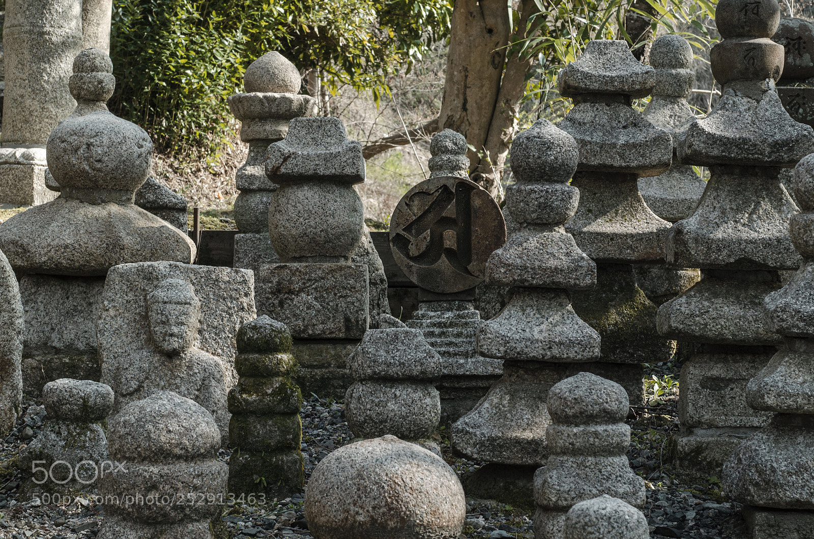 Nikon D7000 sample photo. 梵 photography