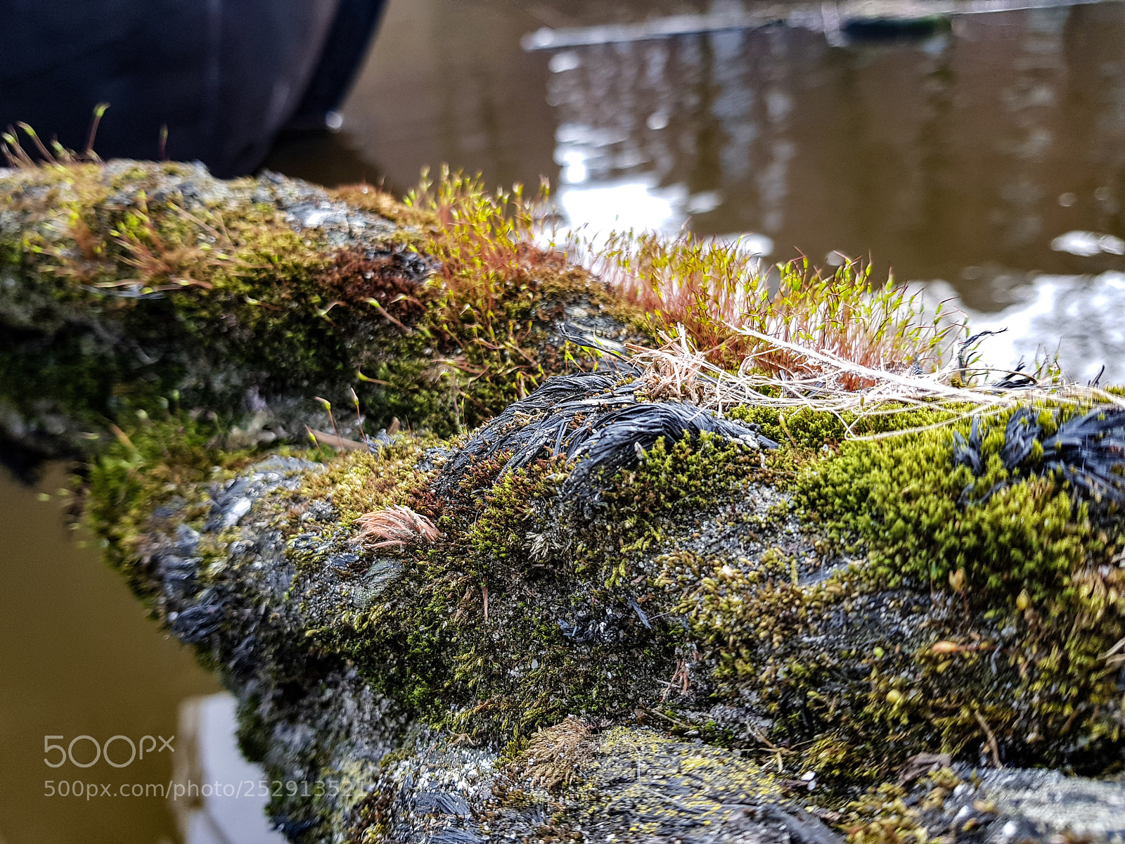 Samsung Galaxy S8 sample photo. On a ship's wrope photography