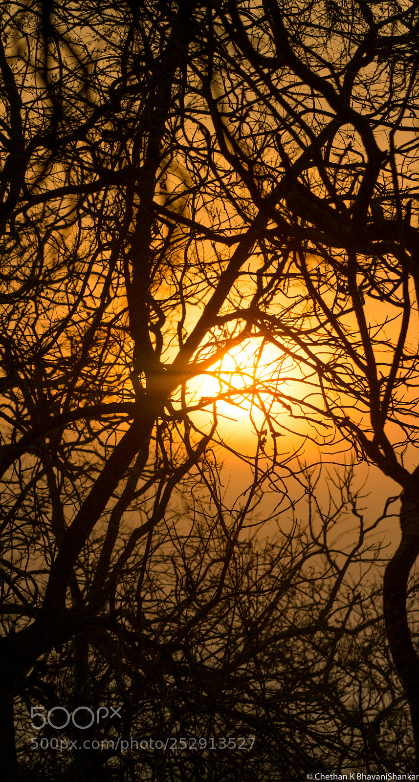 Nikon D7100 sample photo. Sunrise photography