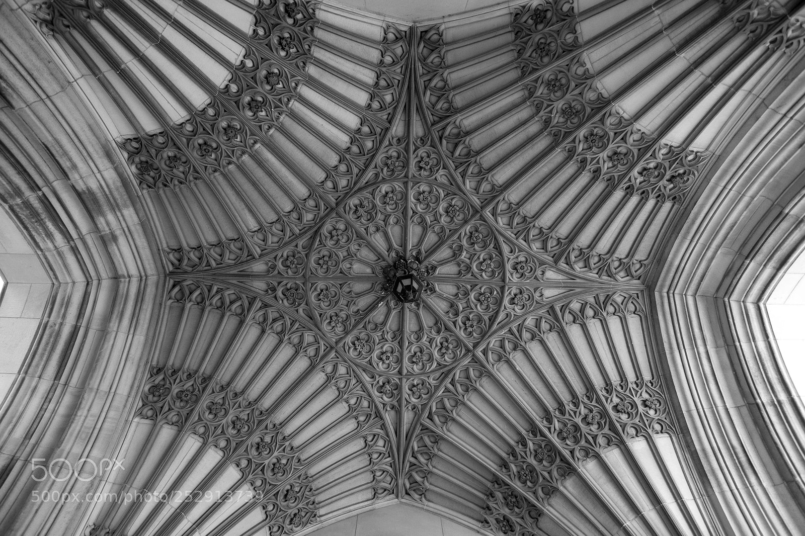 Nikon D3100 sample photo. Ceiling (gothic revival) photography