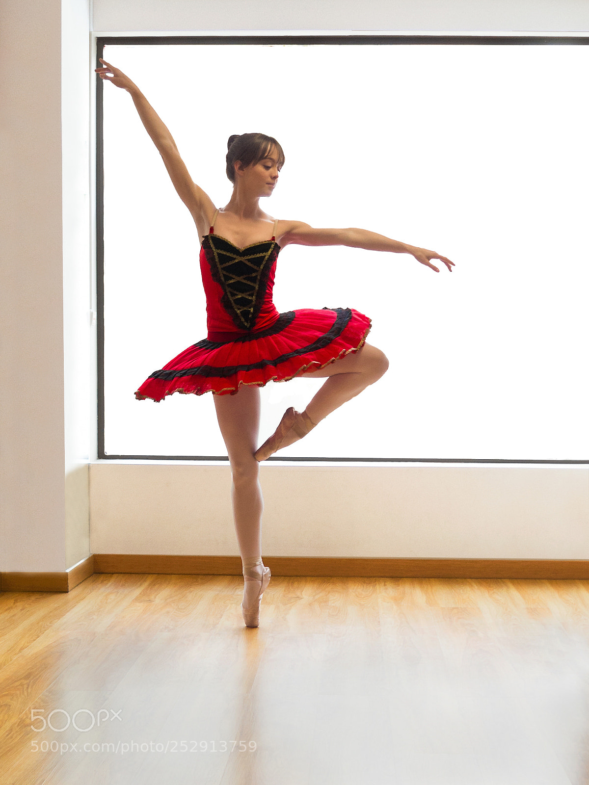 Olympus OM-D E-M10 sample photo. Ballet photography