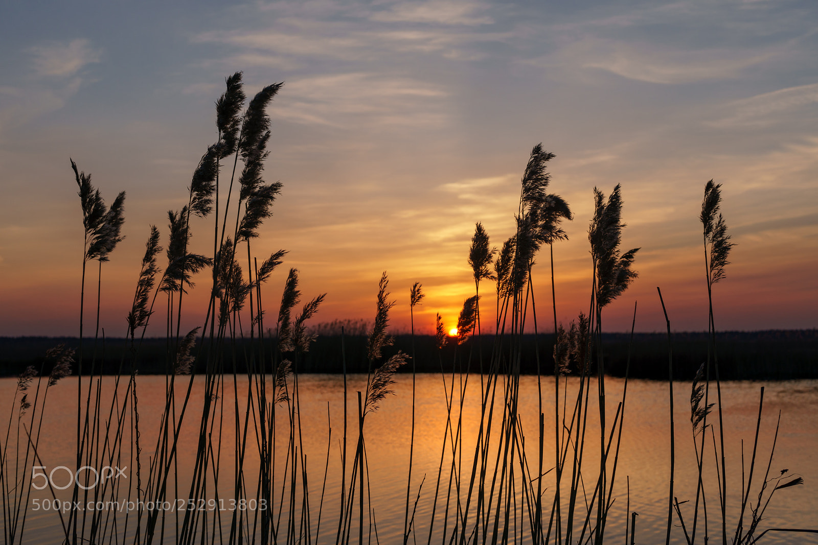 Sony a6500 sample photo. Lake kaneris, latvia photography