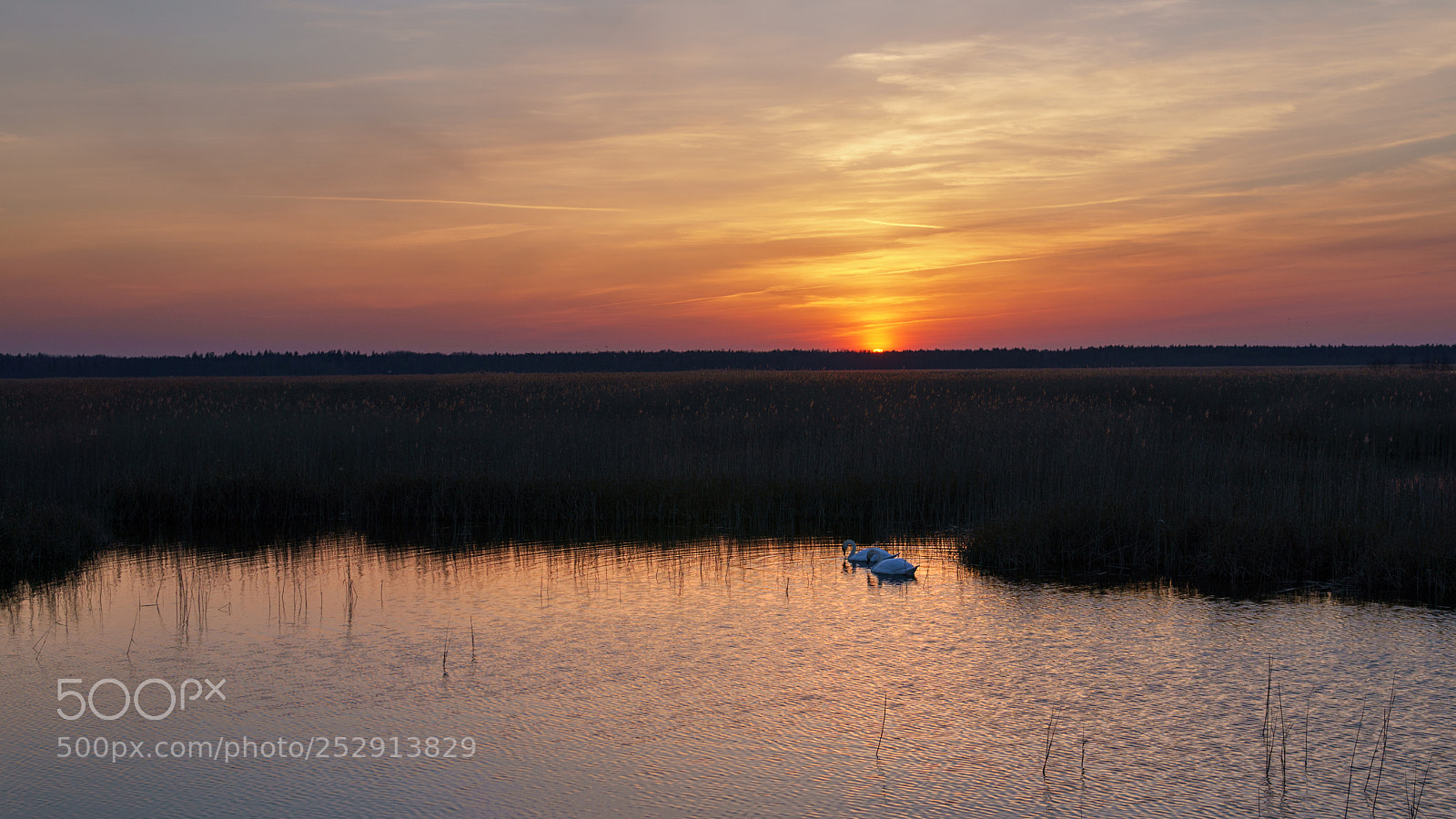 Sony a6500 sample photo. Lake kaneris, latvia photography