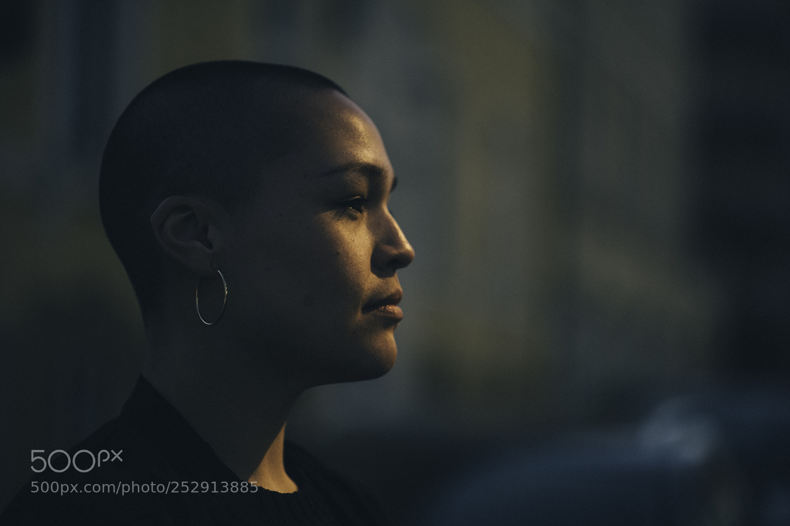 Nikon D850 sample photo. K light reflection photography