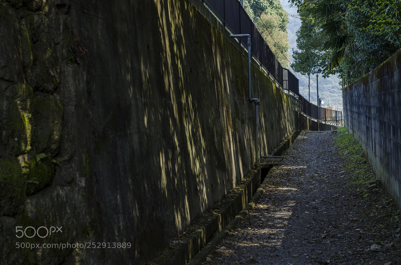 Nikon D7000 sample photo. Road in kyodo photography