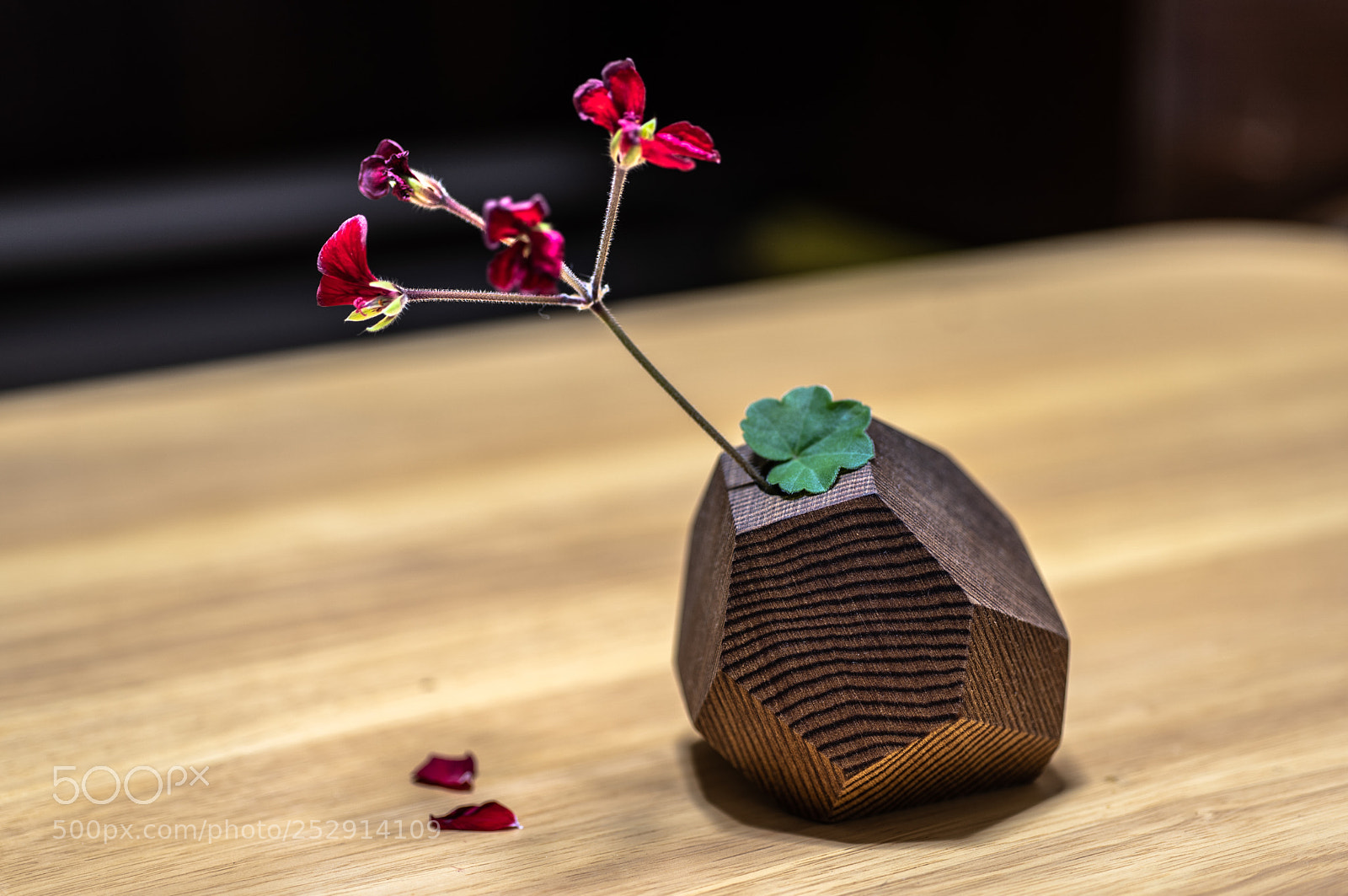 Sony a7 III sample photo. Untitled photography