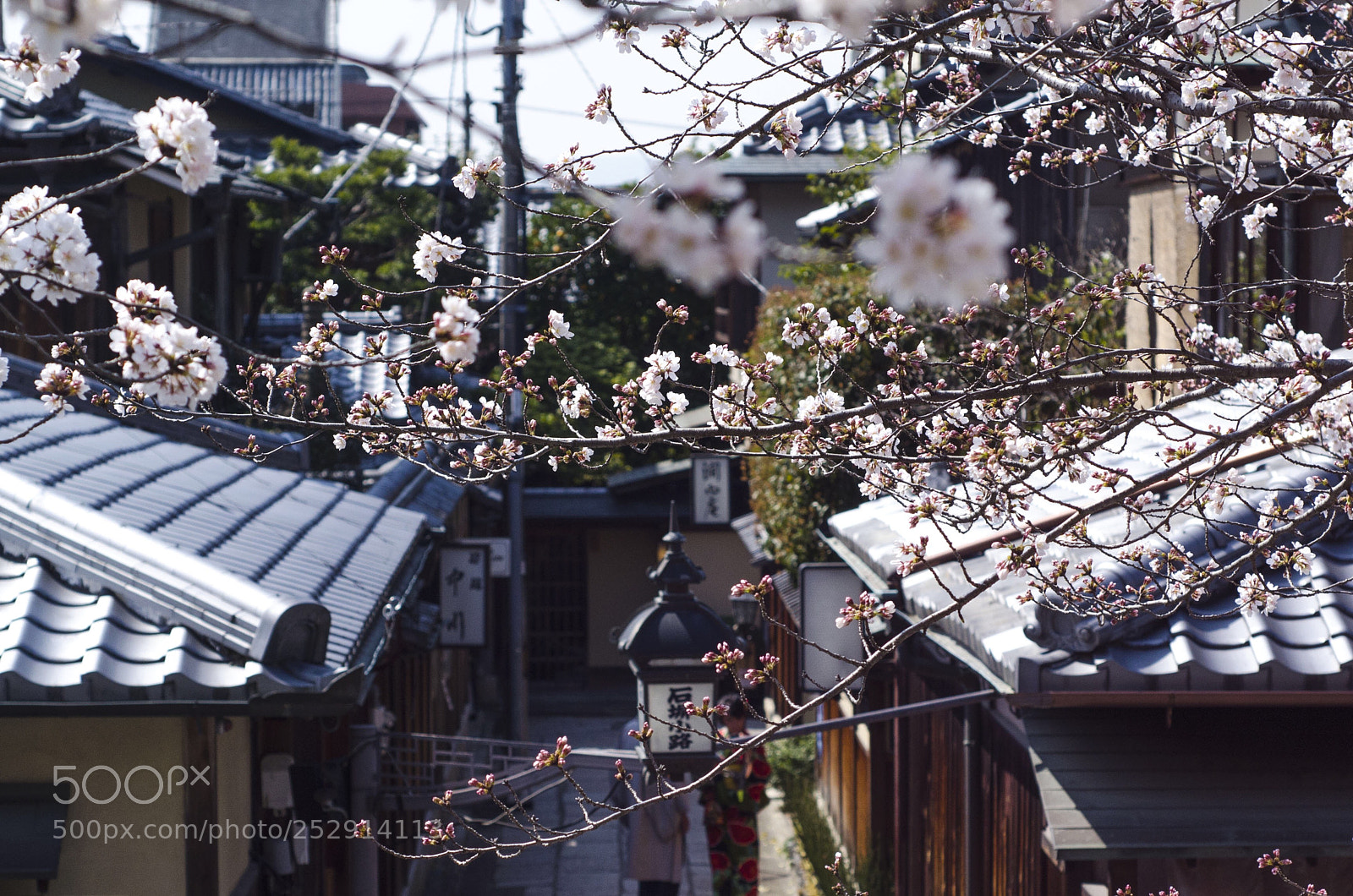 Nikon D7000 sample photo. Untitled photography