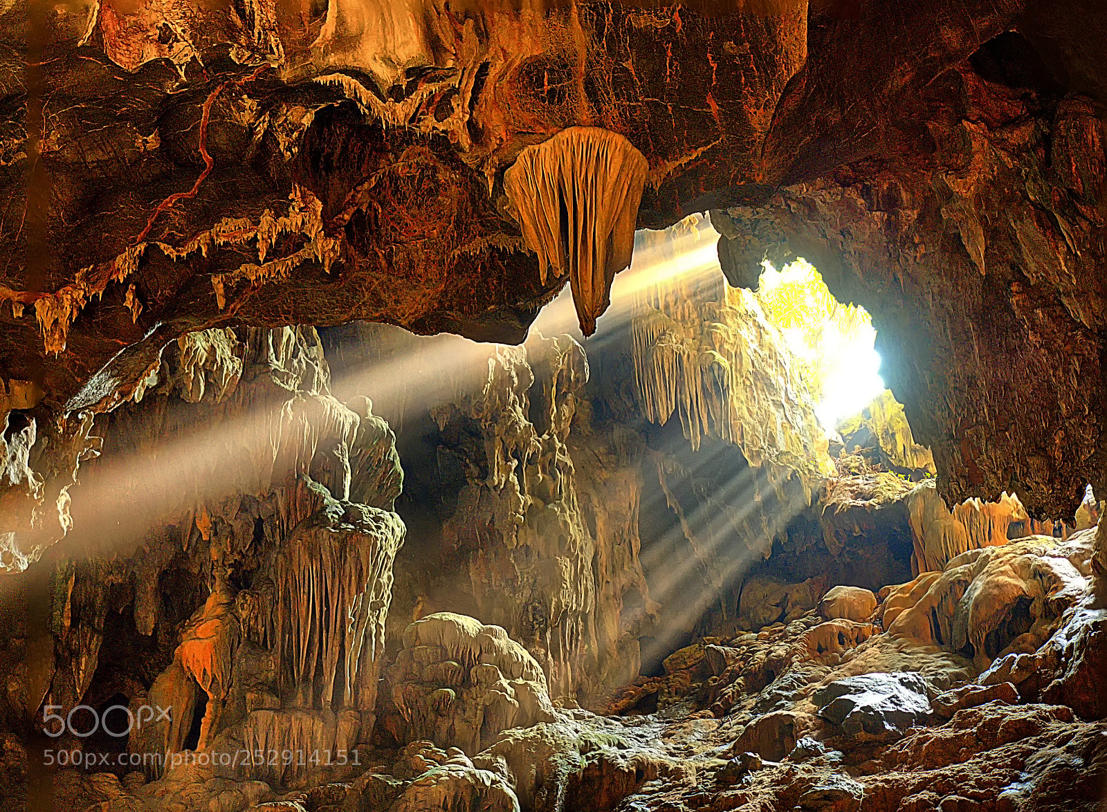 Olympus OM-D E-M1 sample photo. Rays of warmth photography