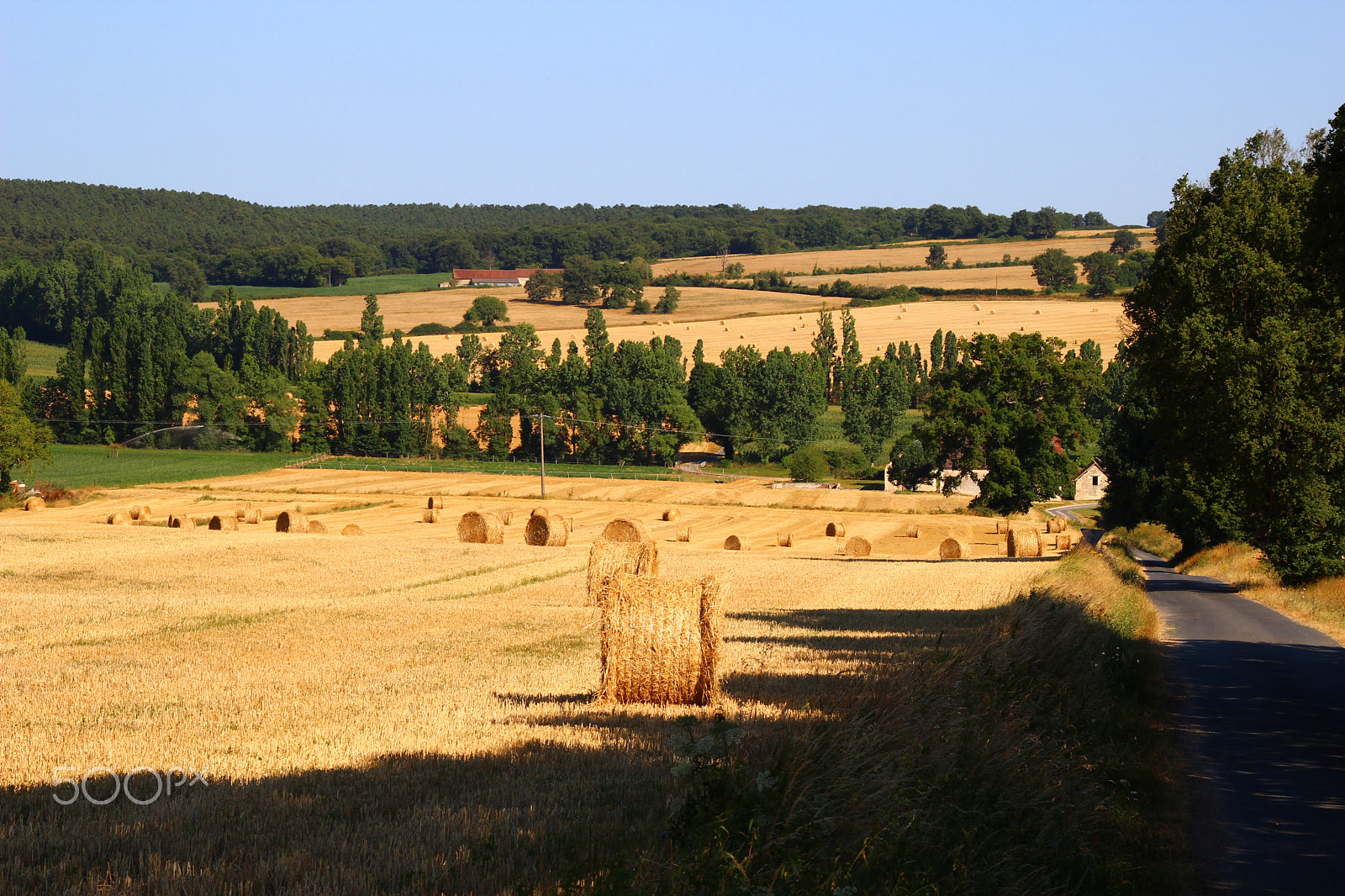 Canon EOS 600D (Rebel EOS T3i / EOS Kiss X5) sample photo. Haystack photography